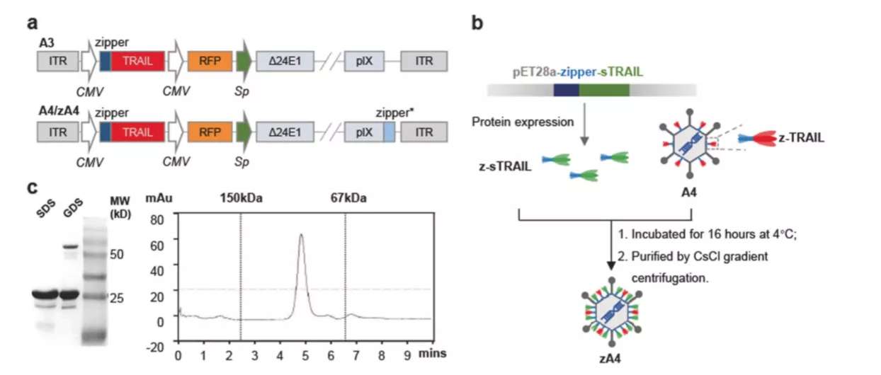 27230248978394.jpg 3.jpg